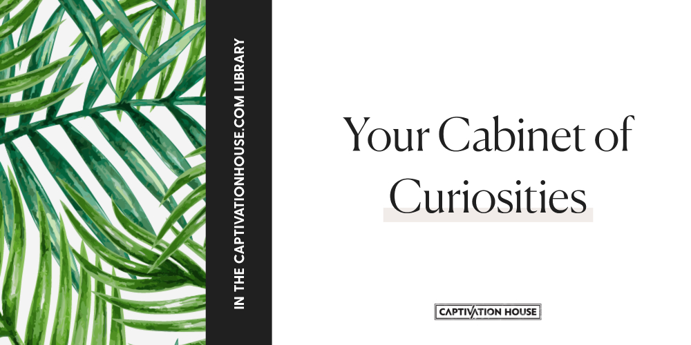 Your cabinet of curiosities